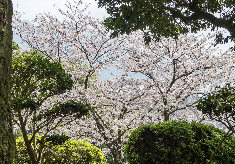 kagoshima