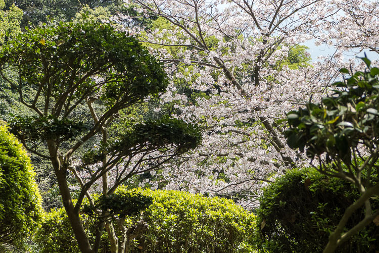 kagoshima
