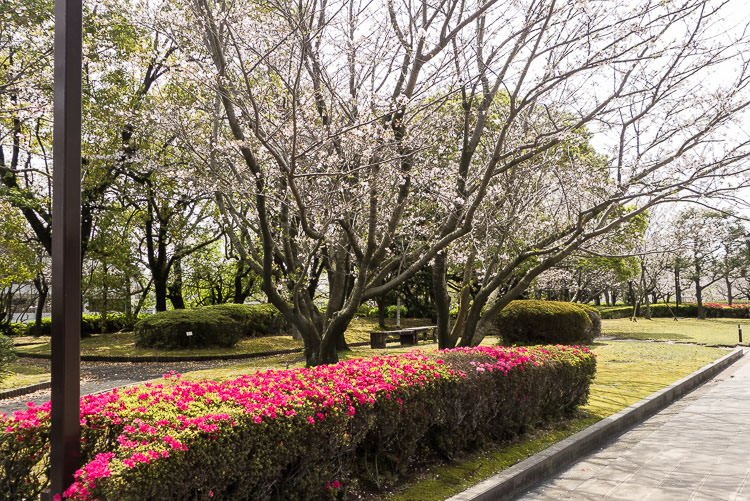 kagoshima