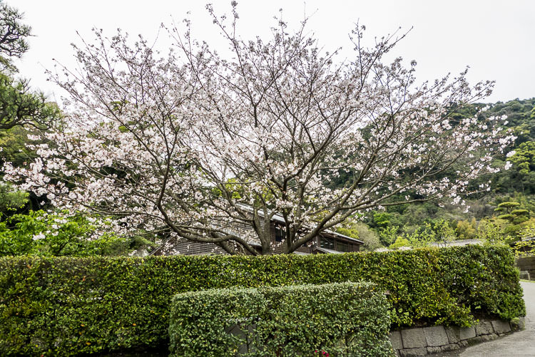 sengan-en 01