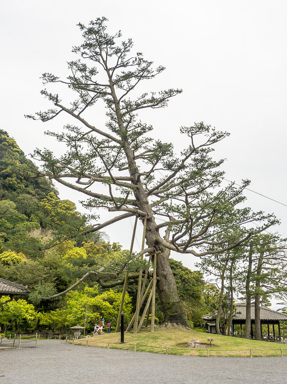 sengan-en 01