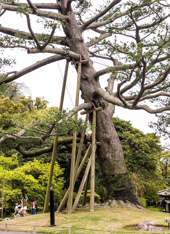 sengan-en 01