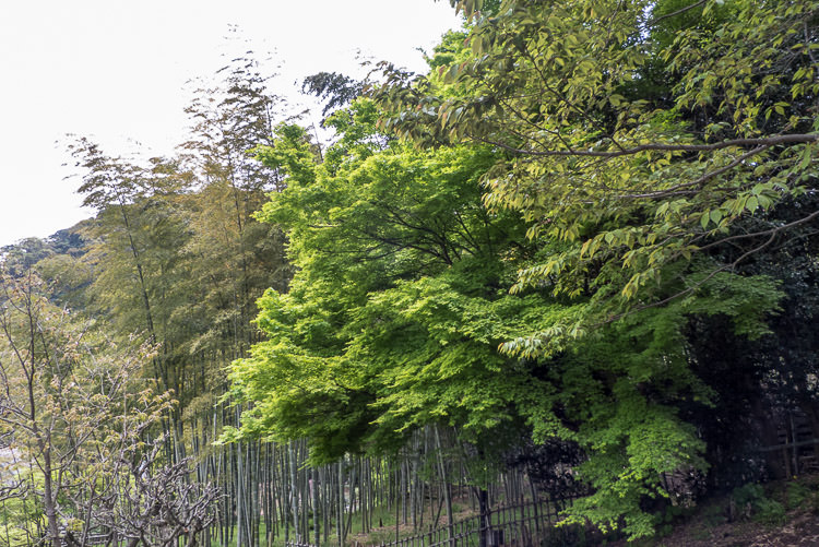 sengan-en 01