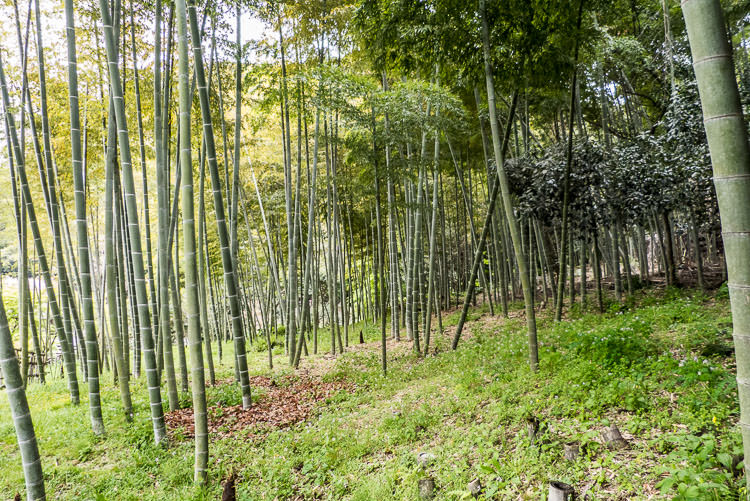 sengan-en 01