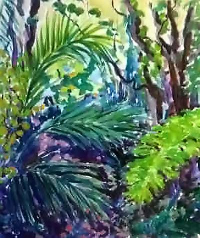 Forêt humide en Papouasie