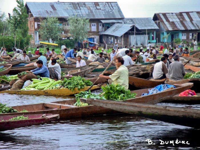 Marché flottant Srinagar