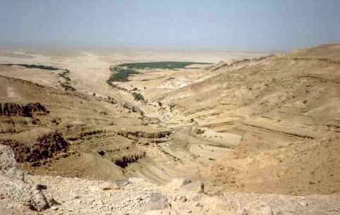 oasis de Chebika