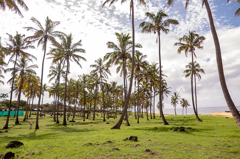 Anakena