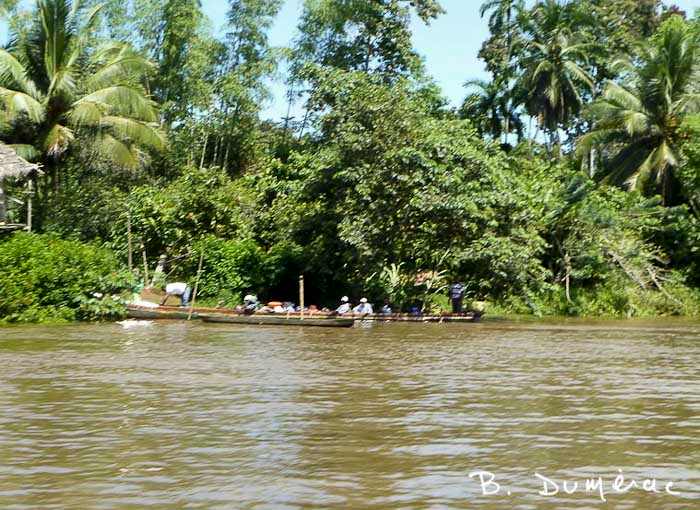 Bords du fleuve