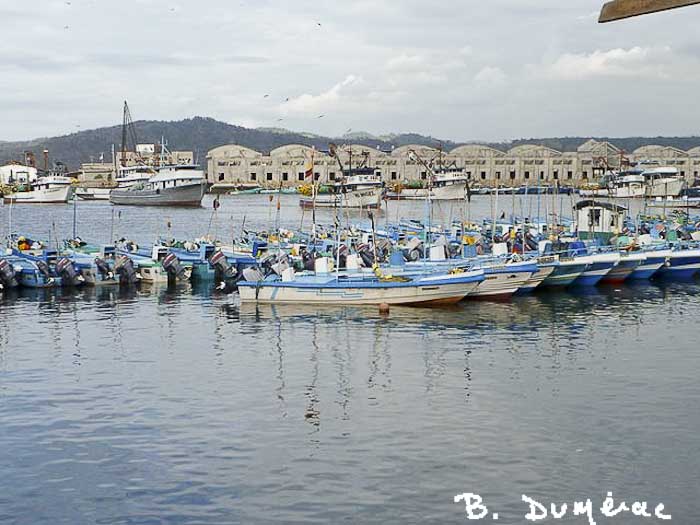 Port Esmeraldas