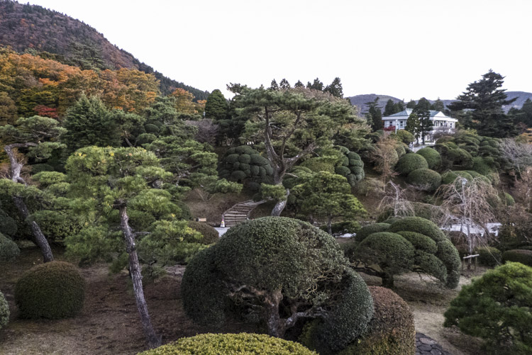 Hakone 13