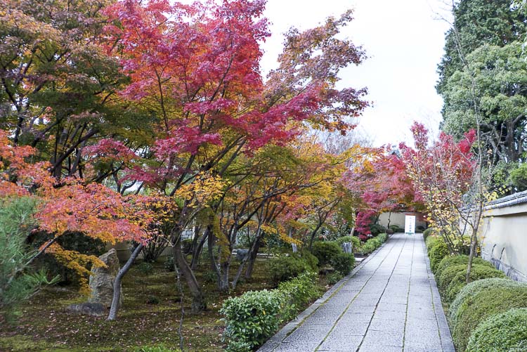 Daitoku-ji 5