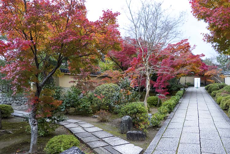 Daitoku-ji 7
