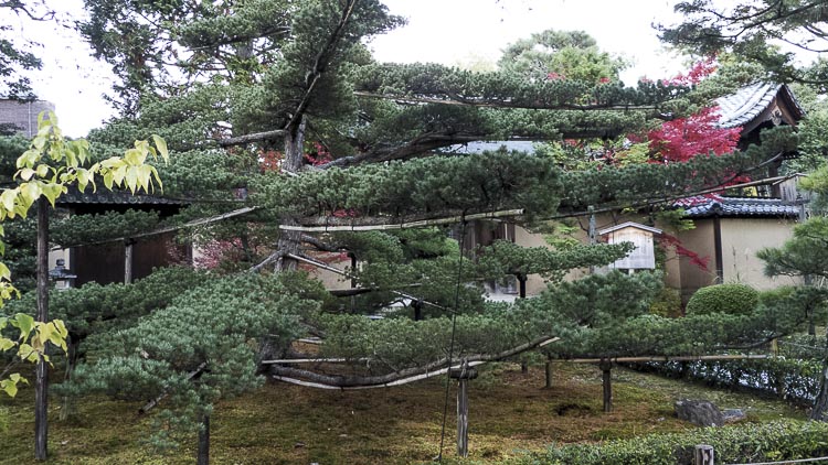 Daitoku-ji 9