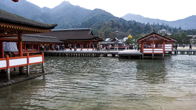 Miyajima 7