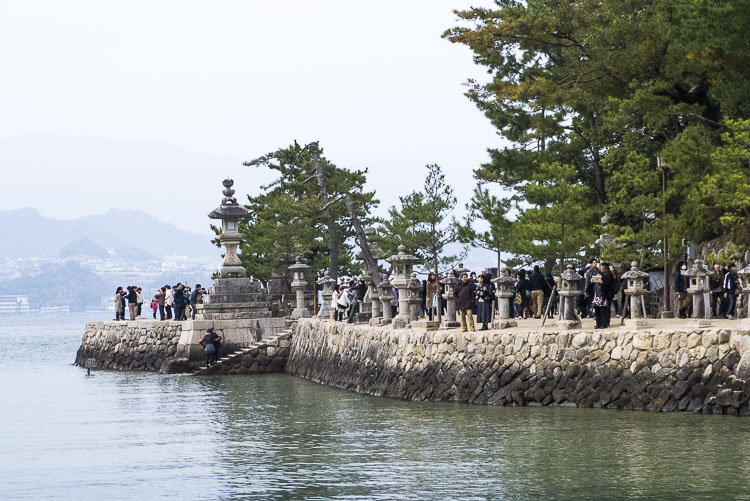 Miyajima 9