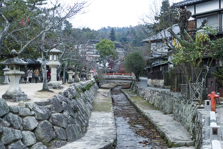 Miyajima 12
