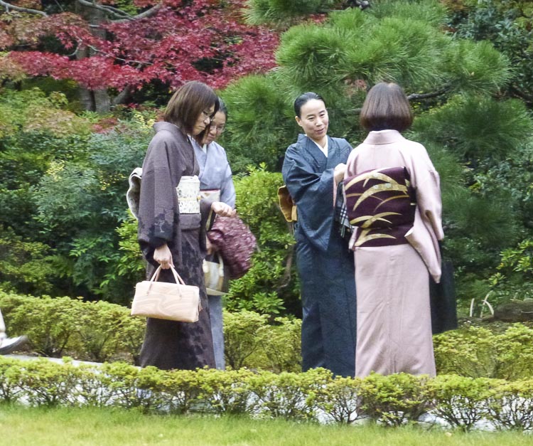 Nezu 6