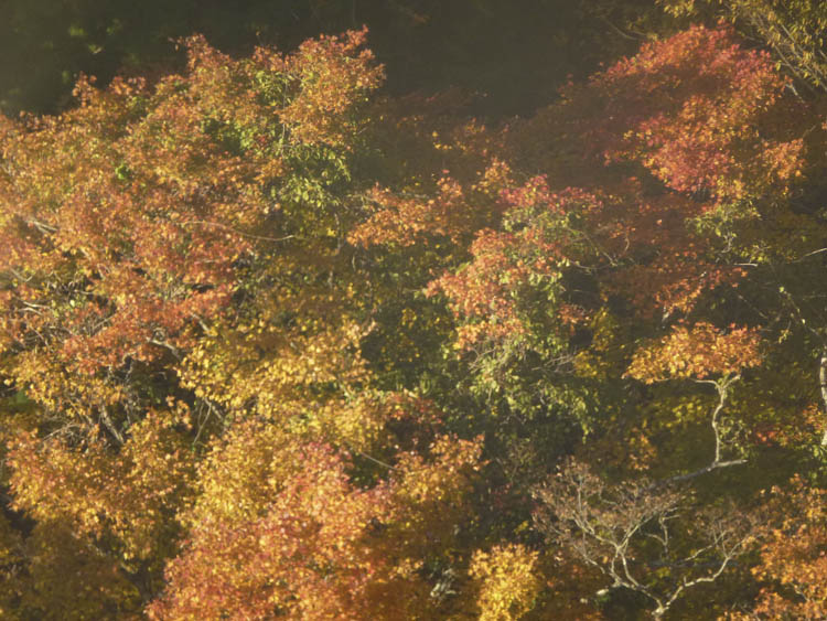 Hakone 3