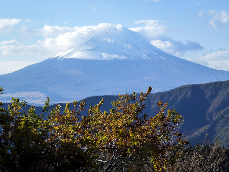 Hakone 6