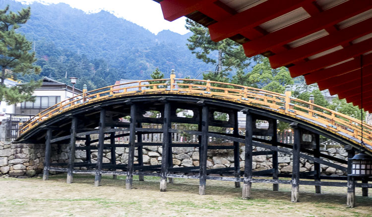 Miyajima 8