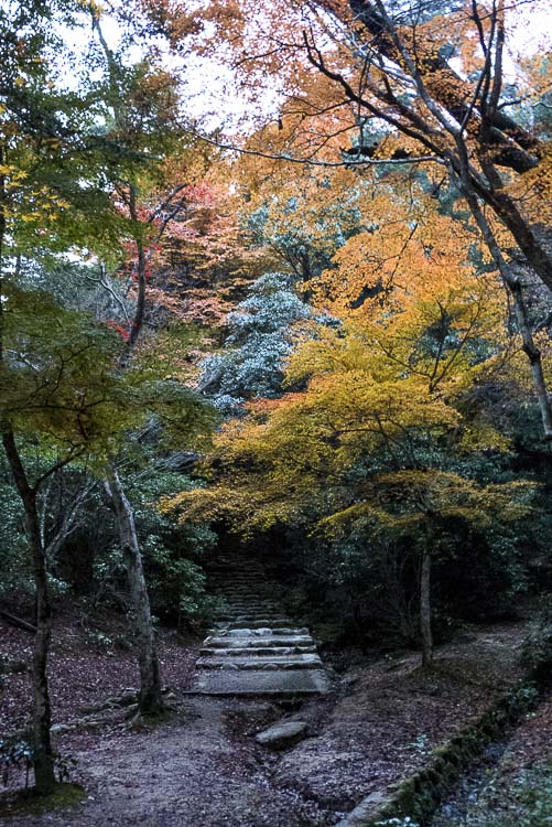 Miyajima 13