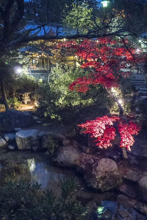 Miyajima 15