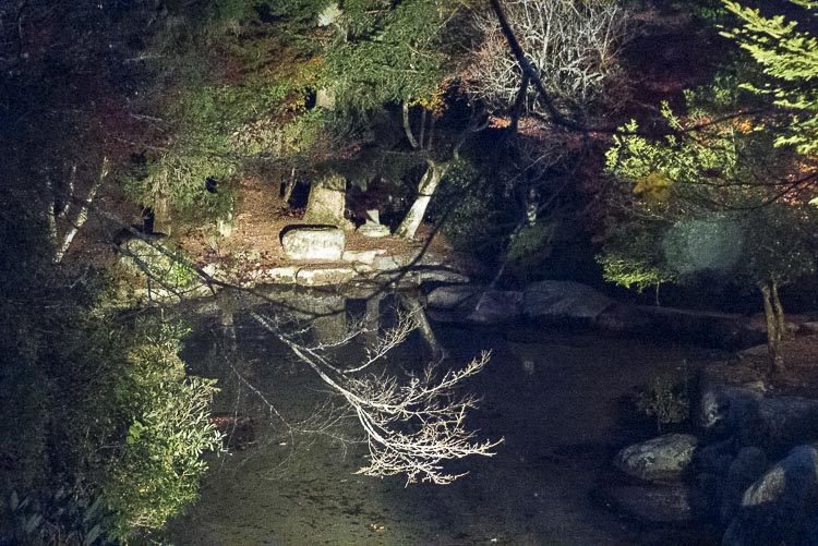 Miyajima 16