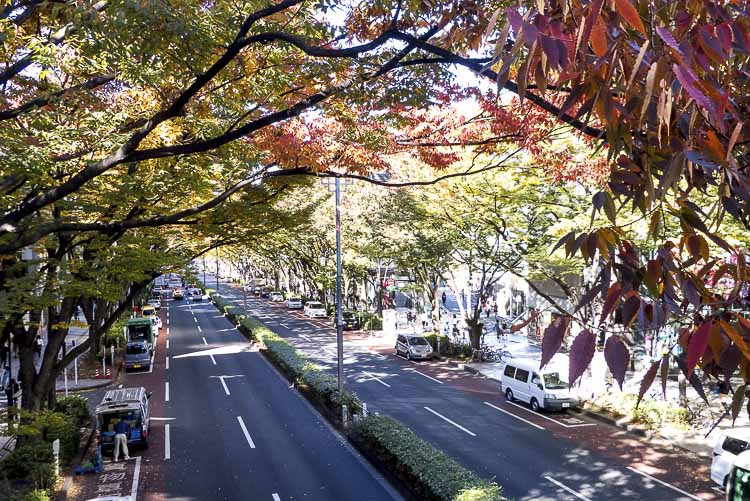 Shibuya 1
