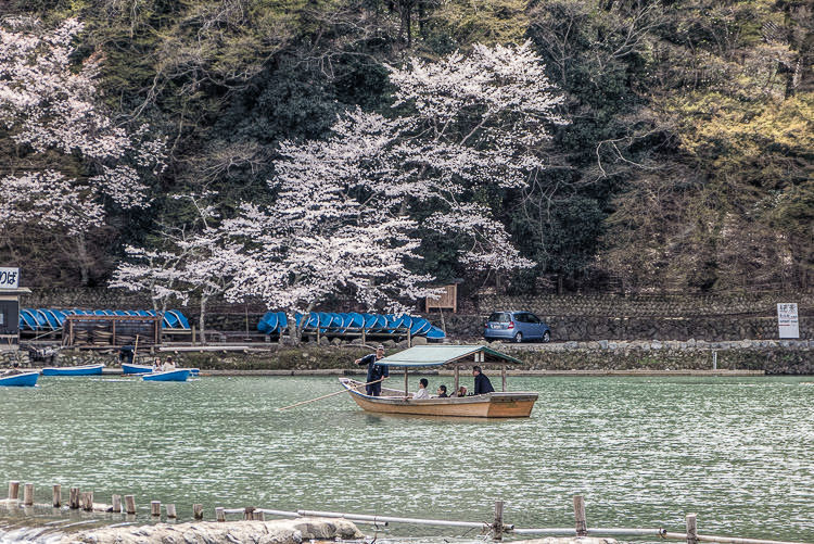 Arashiyama printemps