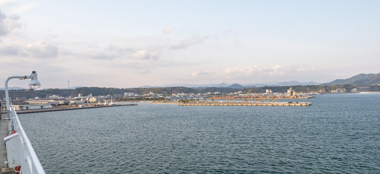 Ferry Sunflower