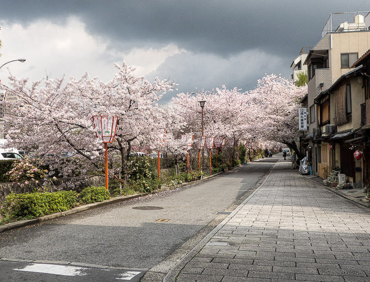 Kyoto Kamogawa