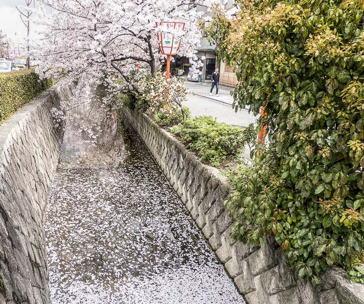 Kyoto Kamogawa