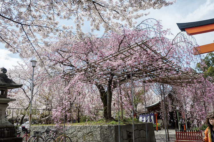 Hirano Shrine
