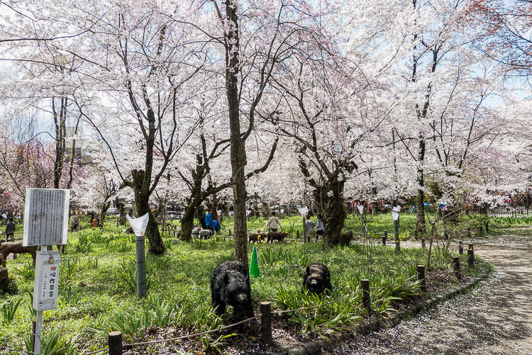 Hirano Shrine