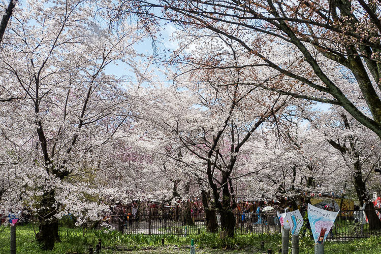 Hirano Shrine