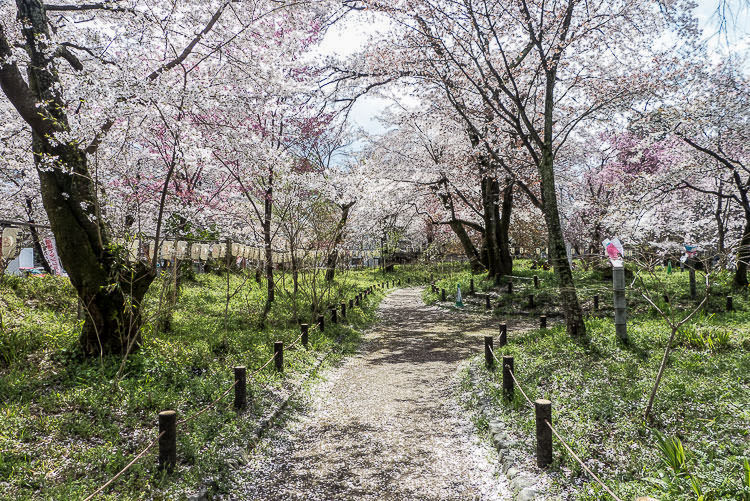 Hirano Shrine