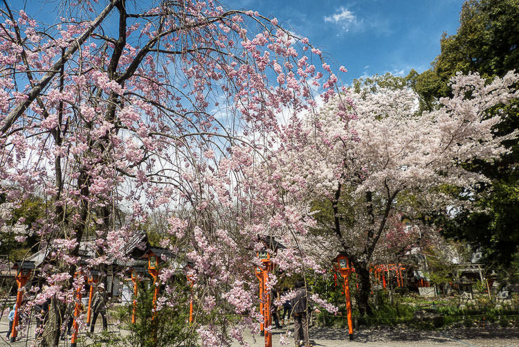 Hirano Shrine