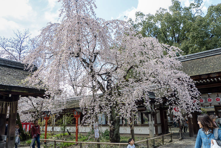 Hirano Shrine