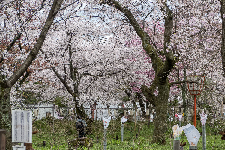 Hirano Shrine