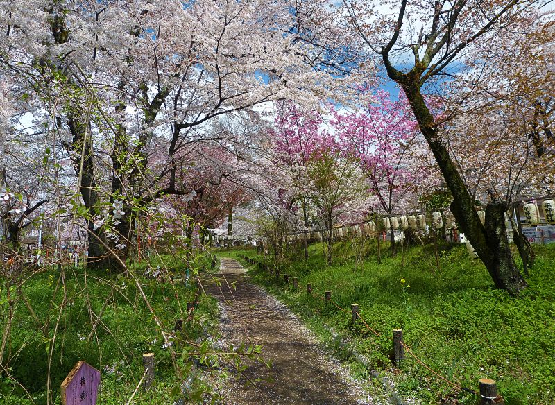 Hirano Shrine
