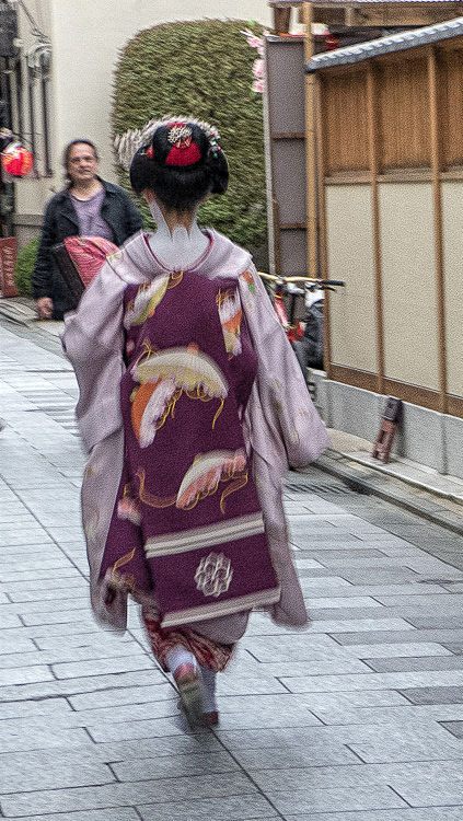 Kyoto nuit