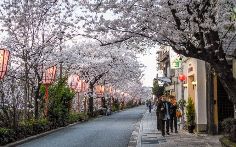Kyoto nuit