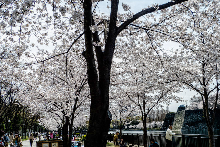 Osaka