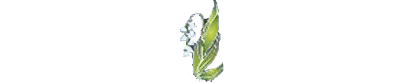 muguet du 1er mai