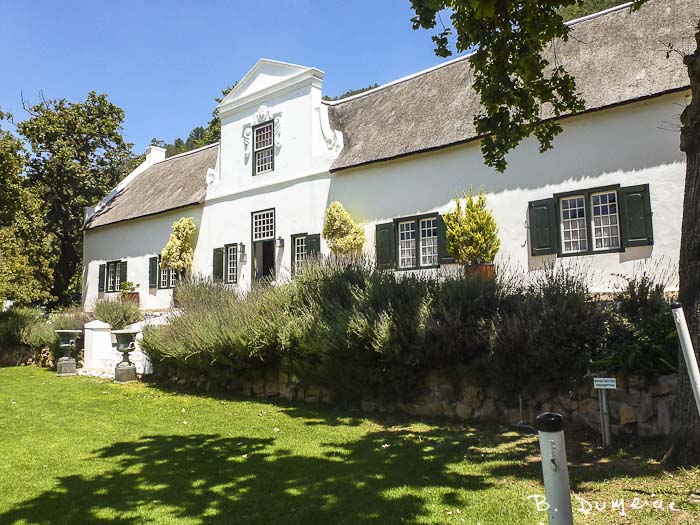Domaine viticole