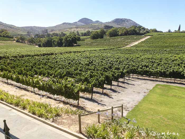 Cape Town, Route des vins 2