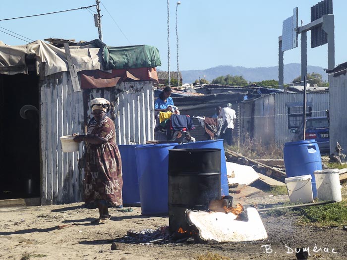 Langa 8