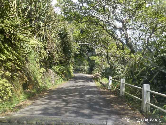 Petite route Sainte-Hélène 6