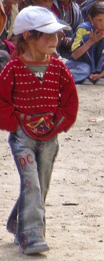 poulbot ladakhi